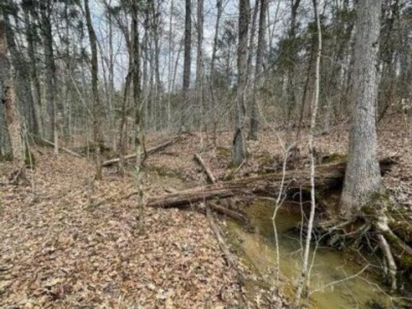 3908 E Raccoon Valley Drive, Powell, TN 37849