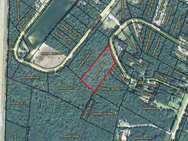 LOT 35 Lewis Lane, Townsend, GA 31331