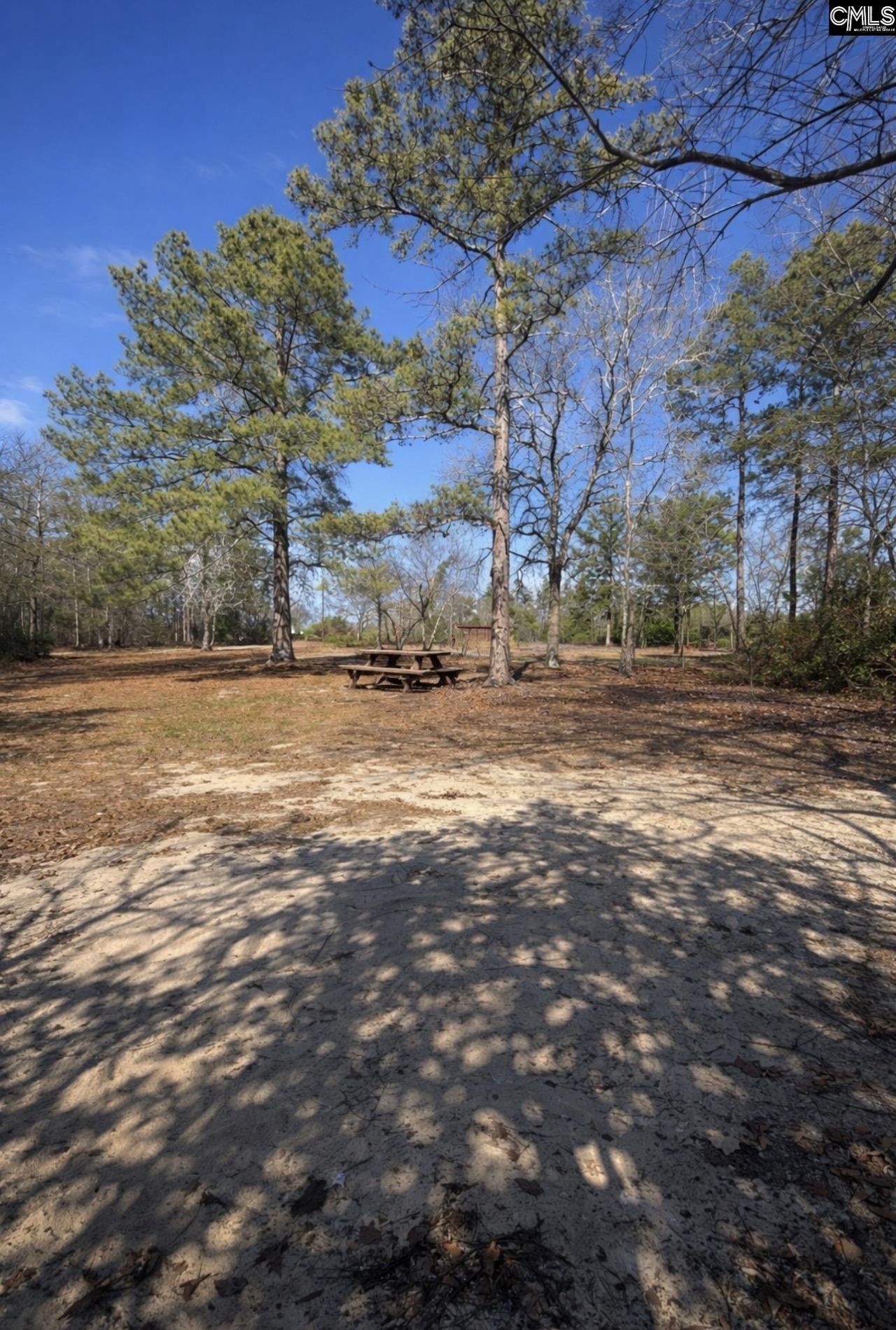 128 River Ridge Way Photo 4