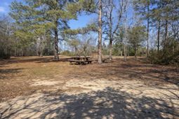 128 River Ridge Way  photo 4