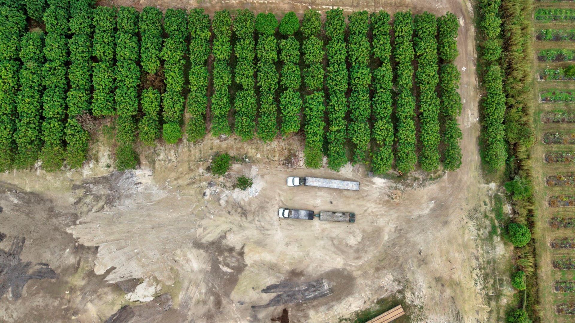 36260 SW 212th Avenue, Homestead, FL 33034 Photo