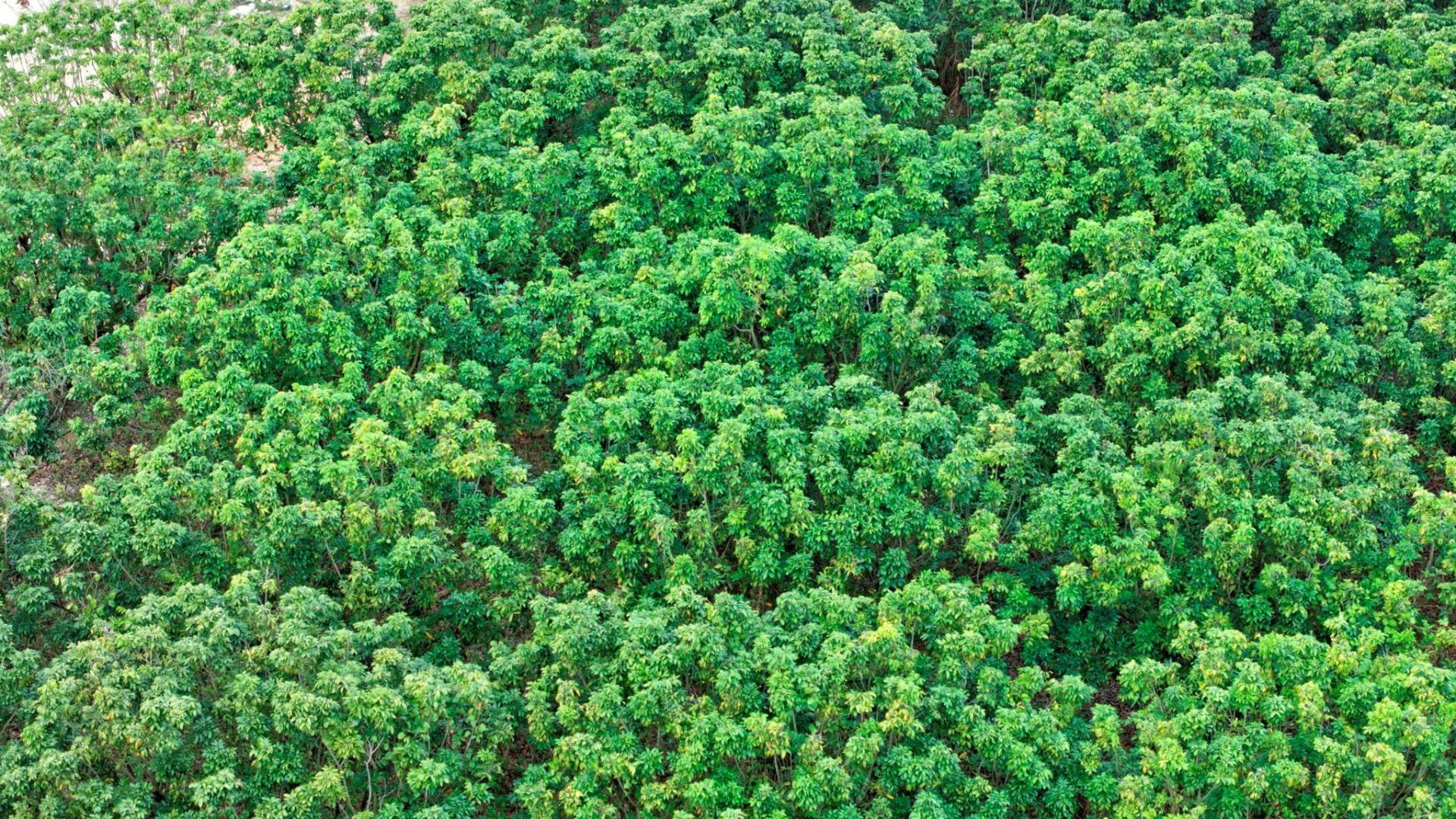 36260 SW 212th Avenue, Homestead, FL 33034 Photo