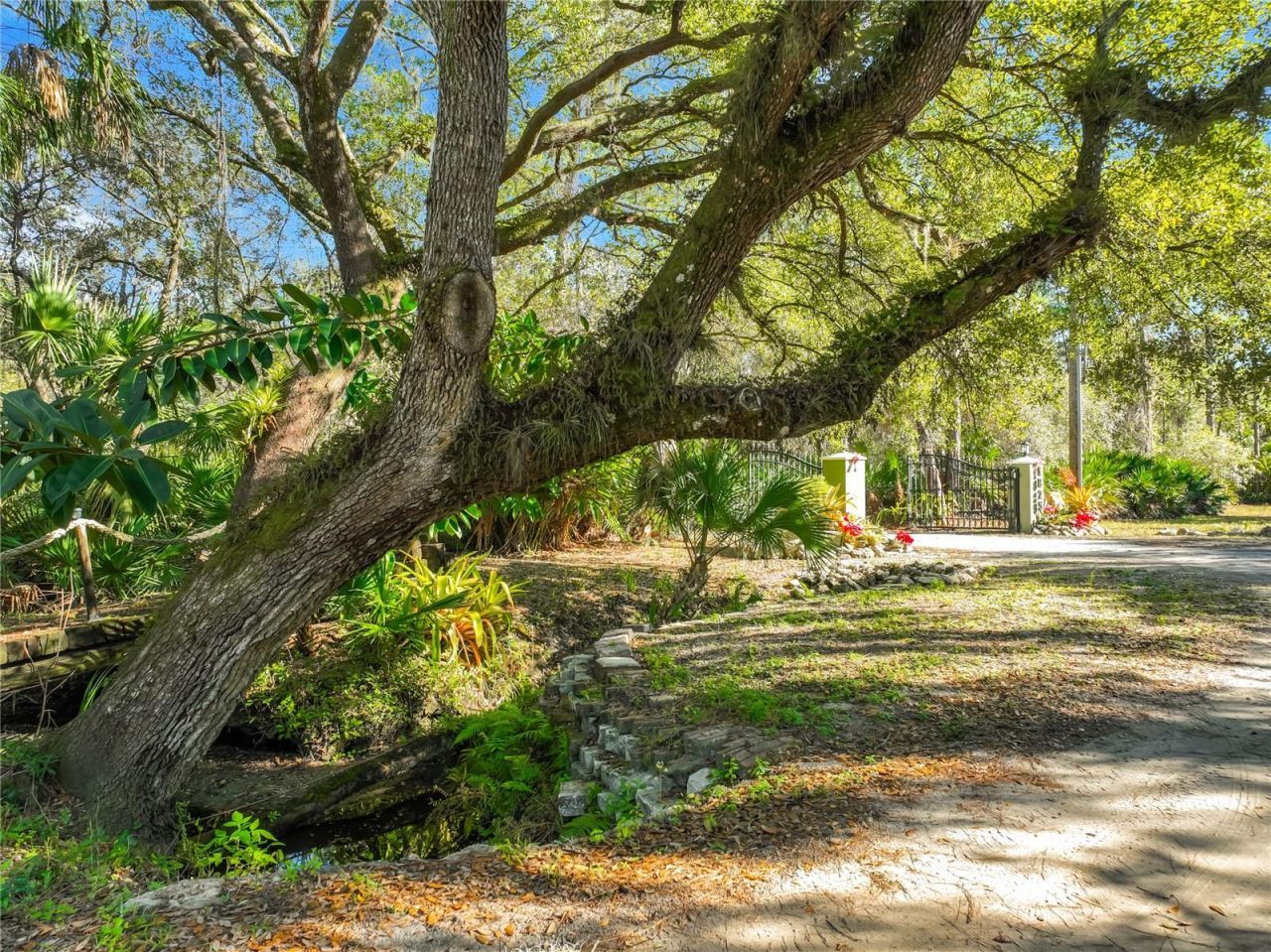 1825 Pams Way, Geneva, FL 32732 Photo