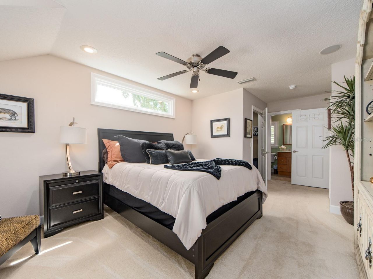 557 Florida Avenue, Palm Harbor, FL 34683 Photo