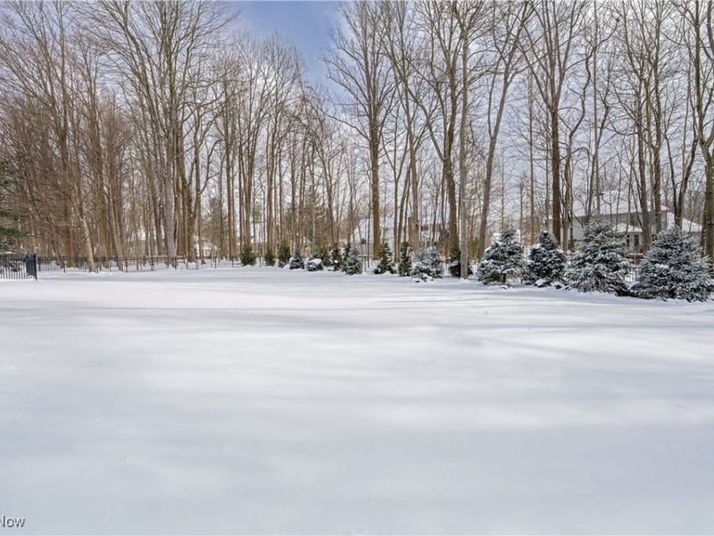 17421 Rambling Creek Trail, Chagrin Falls, OH 44023 Photo 49