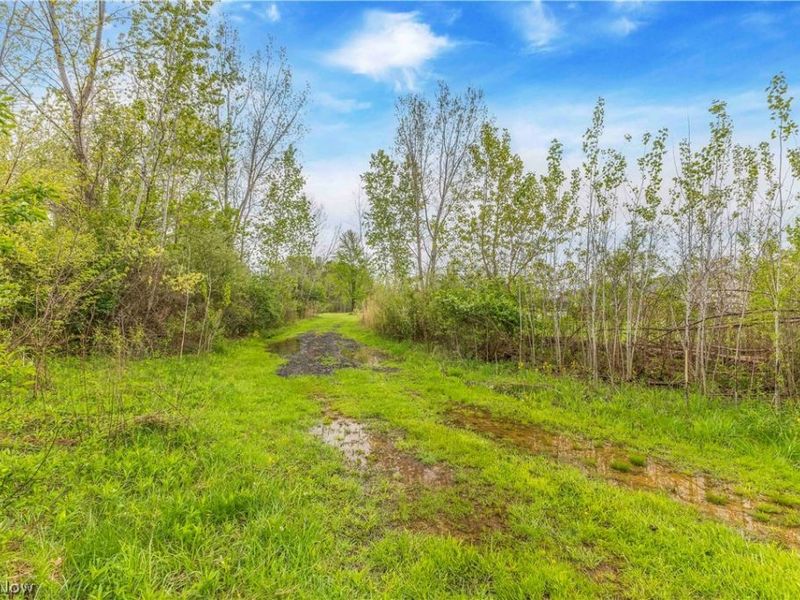 704 Black Bear Run, Lagrange, OH 44050 Photo 10