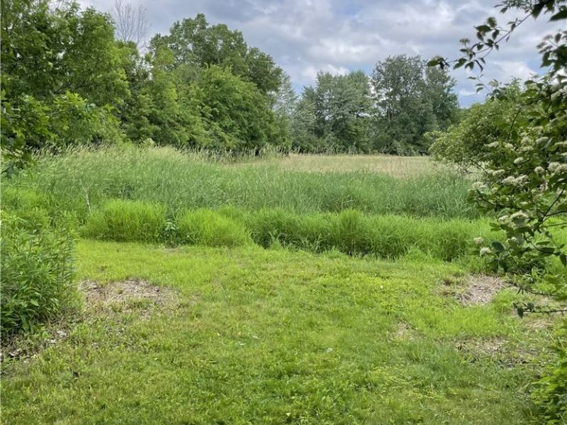 704 Black Bear Run, Lagrange, OH 44050 Photo 11