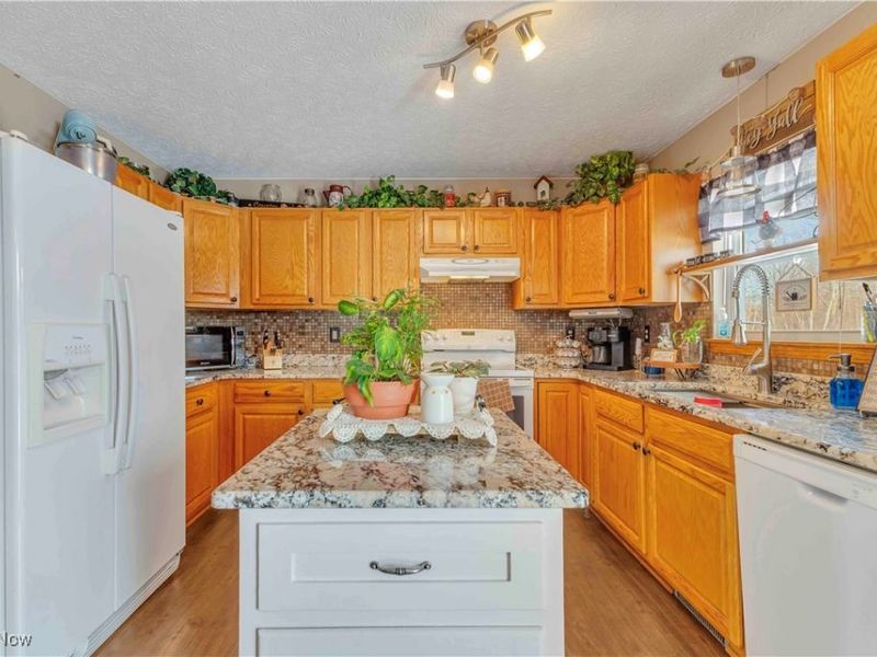 704 Black Bear Run, Lagrange, OH 44050 Photo 12