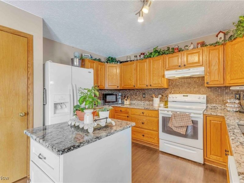 704 Black Bear Run, Lagrange, OH 44050 Photo 14