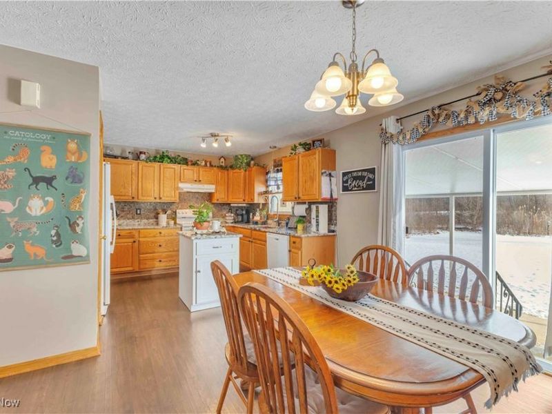 704 Black Bear Run, Lagrange, OH 44050 Photo 17