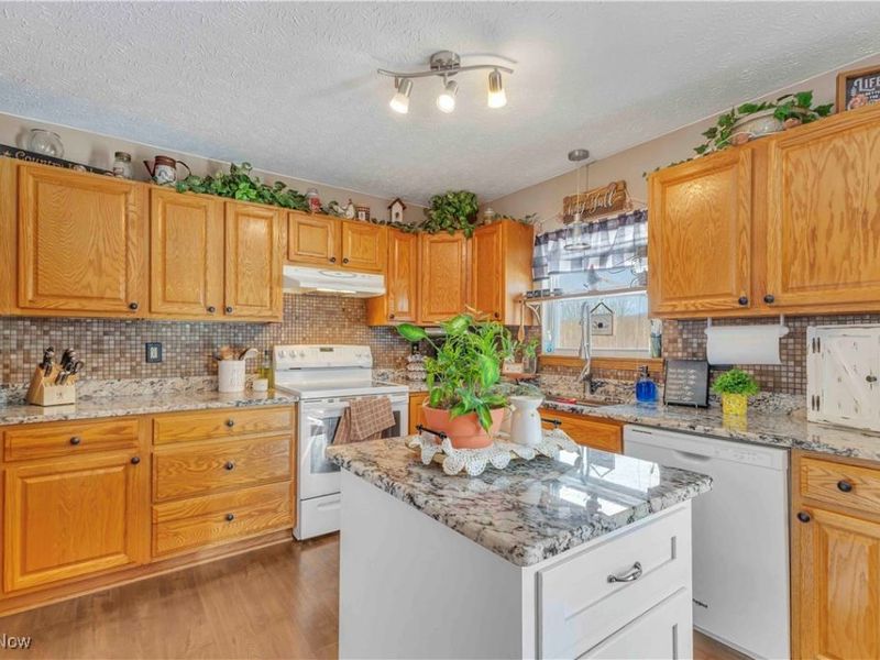 704 Black Bear Run, Lagrange, OH 44050 Photo 17
