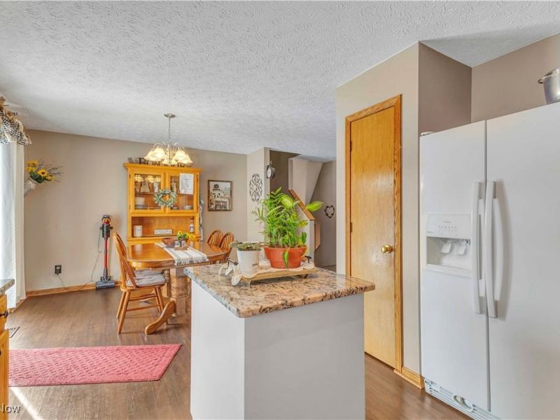 704 Black Bear Run, Lagrange, OH 44050 Photo 19
