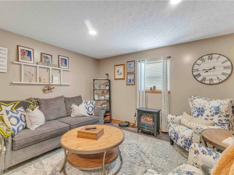 704 Black Bear Run, Lagrange, OH 44050 Photo 20