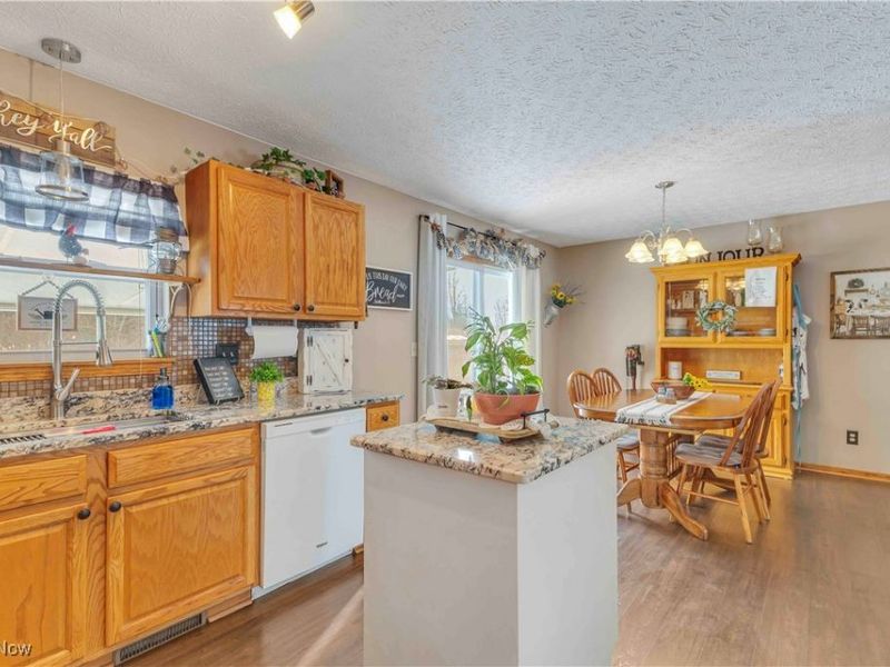 704 Black Bear Run, Lagrange, OH 44050 Photo 20