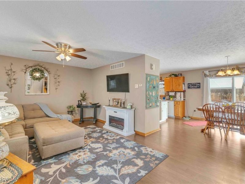 704 Black Bear Run, Lagrange, OH 44050 Photo 26