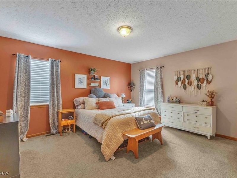 704 Black Bear Run, Lagrange, OH 44050 Photo 28