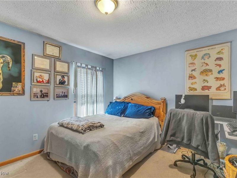 704 Black Bear Run, Lagrange, OH 44050 Photo 35