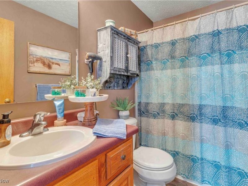 704 Black Bear Run, Lagrange, OH 44050 Photo 36