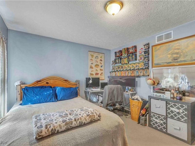 704 Black Bear Run, Lagrange, OH 44050 Photo 36