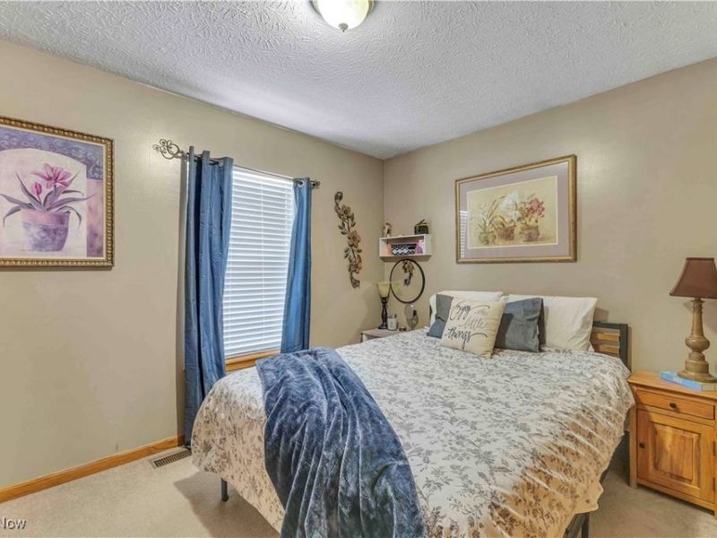 704 Black Bear Run, Lagrange, OH 44050 Photo 37