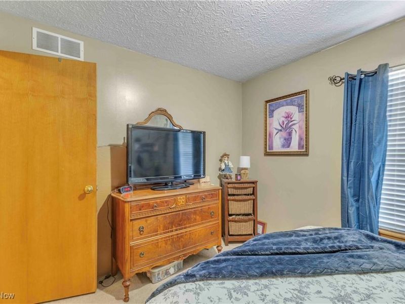 704 Black Bear Run, Lagrange, OH 44050 Photo 38