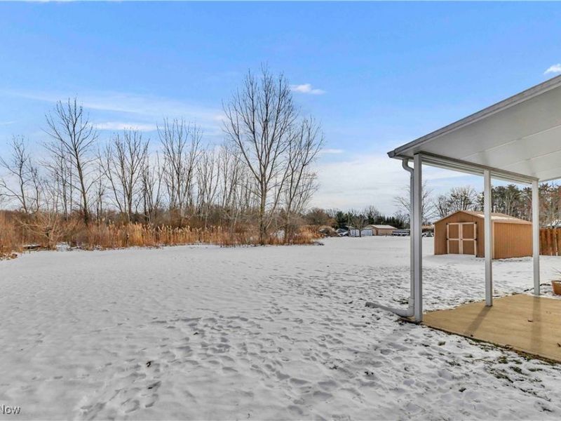 704 Black Bear Run, Lagrange, OH 44050 Photo 5