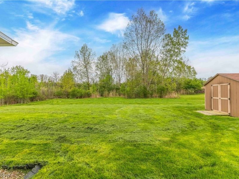 704 Black Bear Run, Lagrange, OH 44050 Photo 8