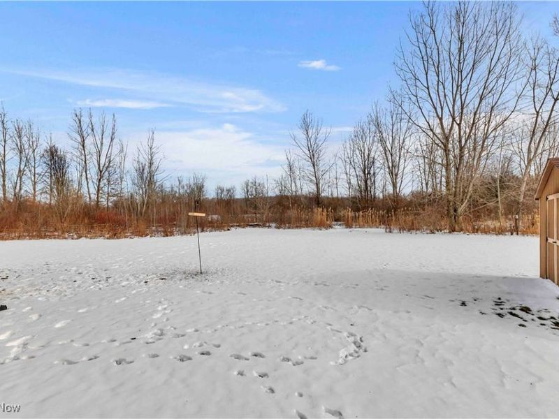 704 Black Bear Run, Lagrange, OH 44050 Photo 9