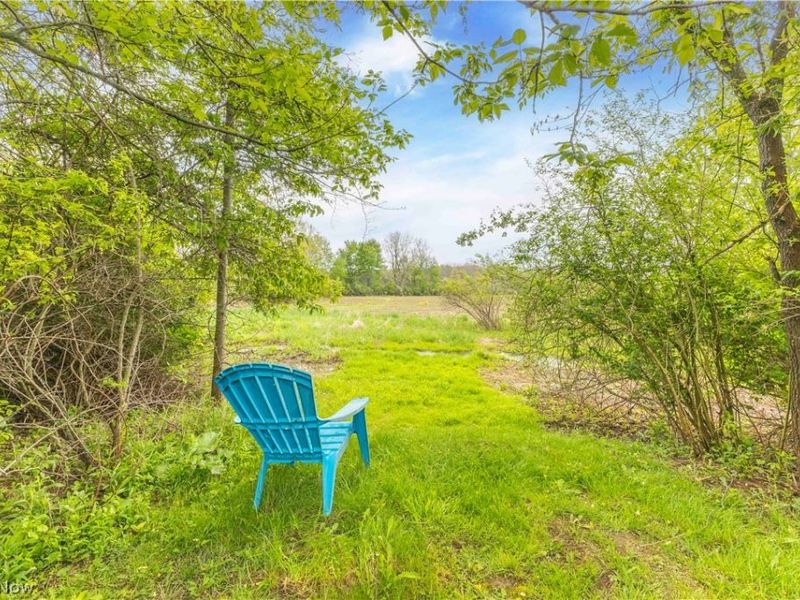 704 Black Bear Run, Lagrange, OH 44050 Photo 9