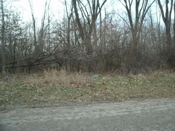 0 Drew Drive, Unit Lot 29, Niles, MI 49120