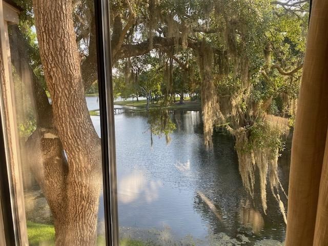 18 Canvas Back Cove Photo 11