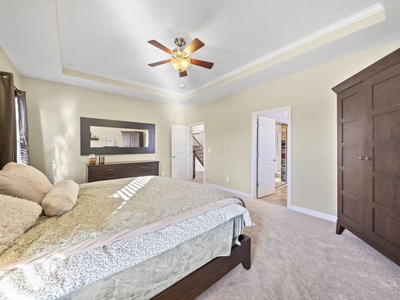 1063 Mendolin Court, Powell, OH 43065 Photo 39