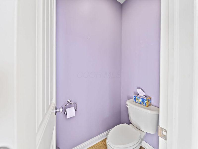 1063 Mendolin Court, Powell, OH 43065 Photo 46