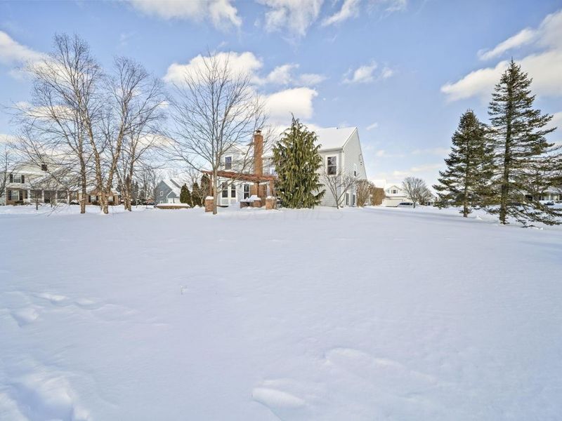 1063 Mendolin Court, Powell, OH 43065 Photo 79