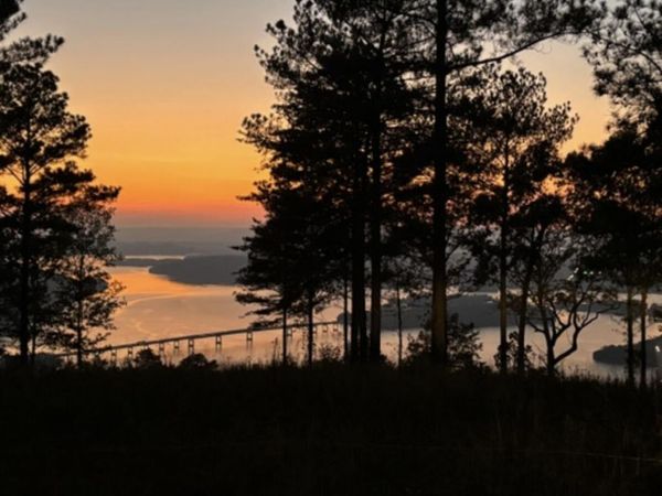 1155 Buck Crossing Drive, Guild, TN 37340