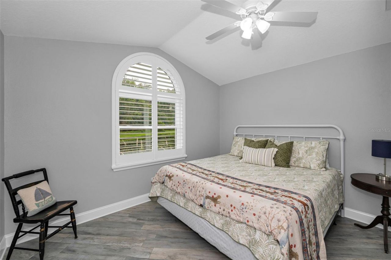 4626 Ayron Terrace, Palm Harbor, FL 34685 Photo