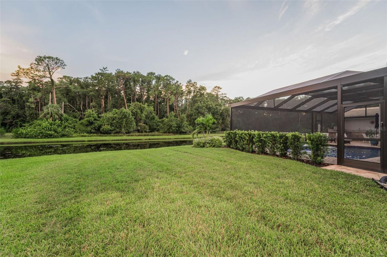 4626 Ayron Terrace, Palm Harbor, FL 34685 Photo