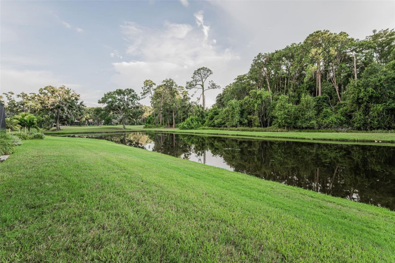 4626 Ayron Terrace, Palm Harbor, FL 34685 Photo