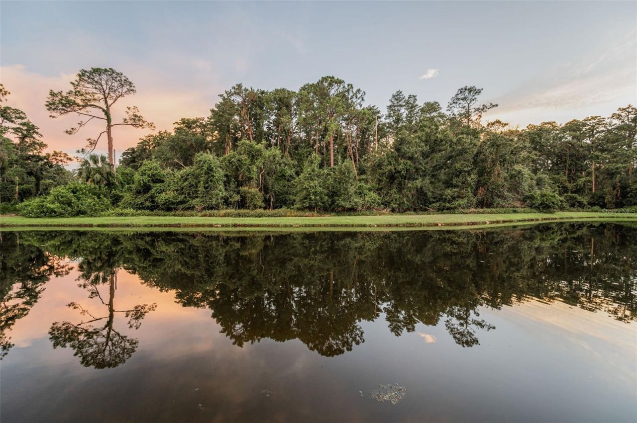 4626 Ayron Terrace, Palm Harbor, FL 34685 Photo