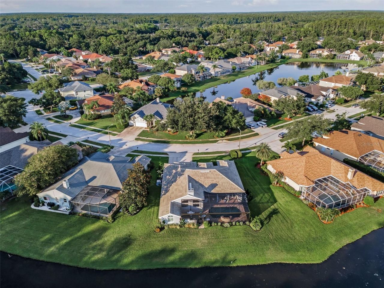 4626 Ayron Terrace, Palm Harbor, FL 34685 Photo