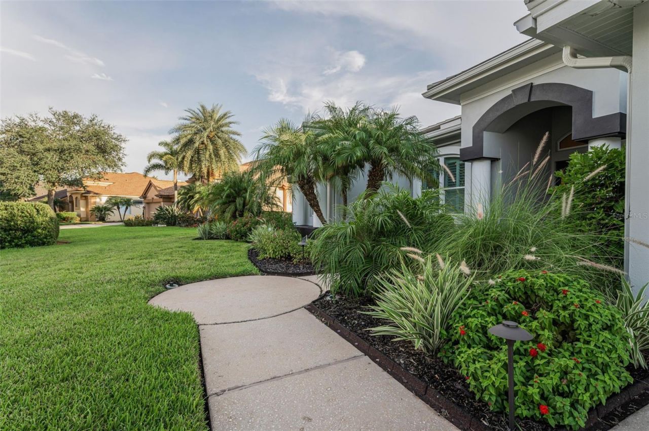 4626 Ayron Terrace, Palm Harbor, FL 34685 Photo
