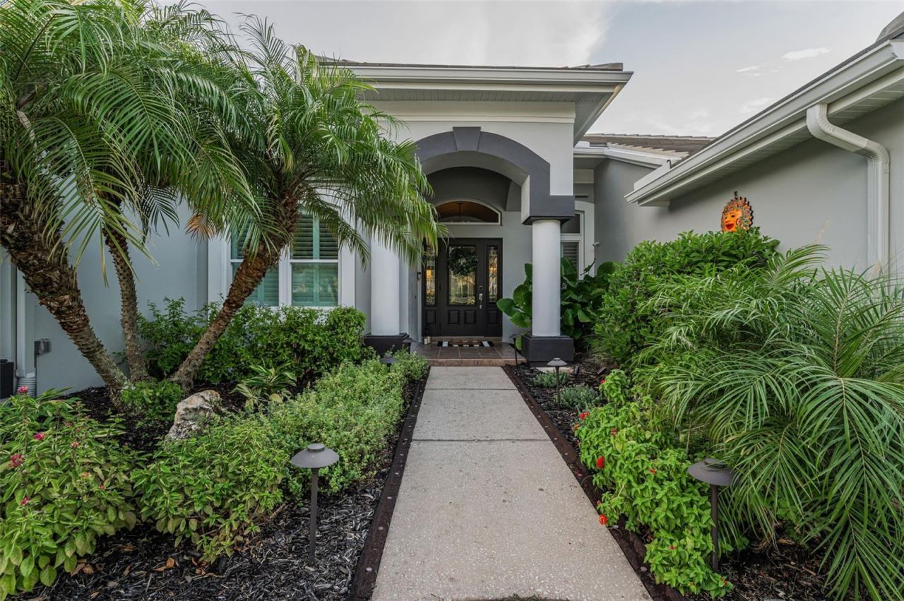 4626 Ayron Terrace, Palm Harbor, FL 34685 Photo