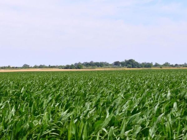 16071 Tyler Island Road, Isleton, CA 95641