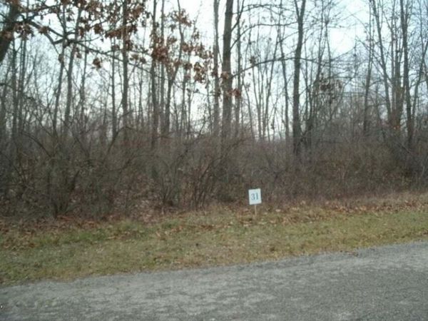 0 Drew Drive, Unit Lot 31, Niles, MI 49120