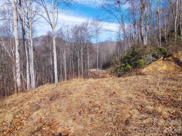 000 Bee Tree Road, Swannanoa, NC 28778