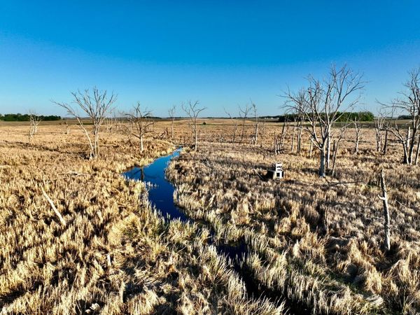 TBD County Highway 14 , Madison, MN 56256