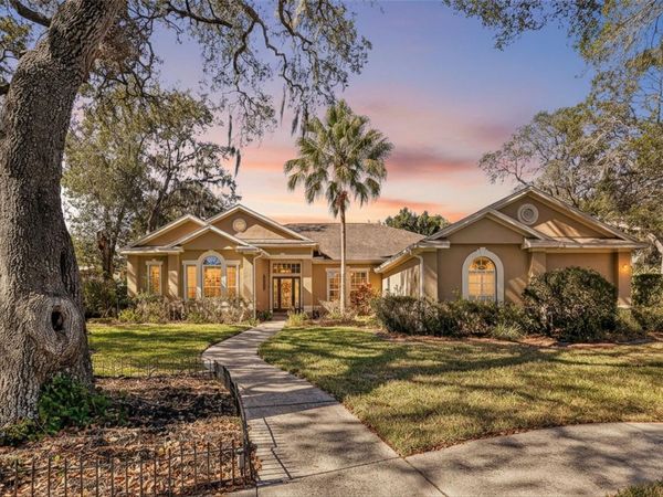 502 LITTLE EAGLE COURT, VALRICO, FL 33594