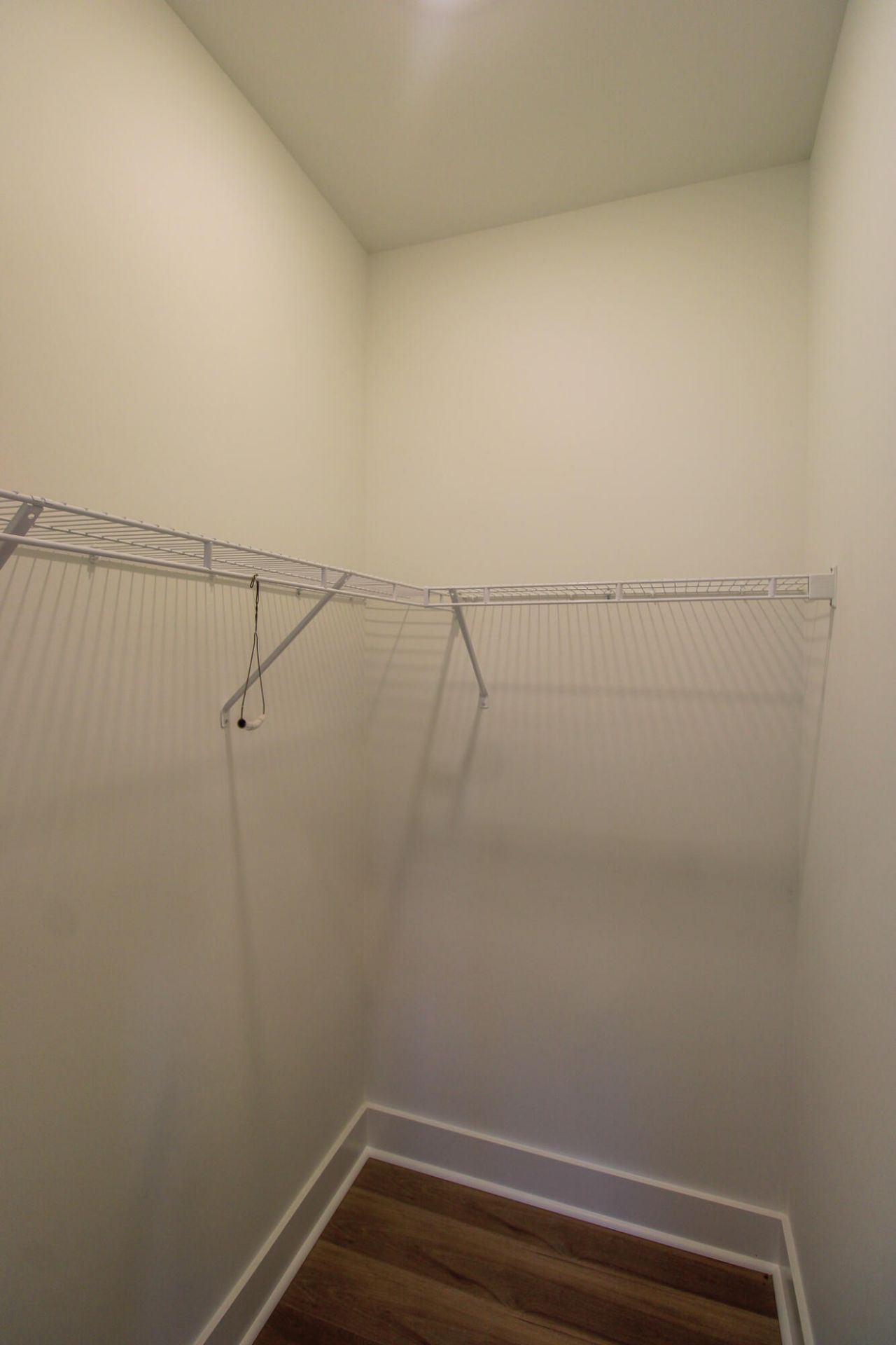 406 Katies Scenic Court Photo 21