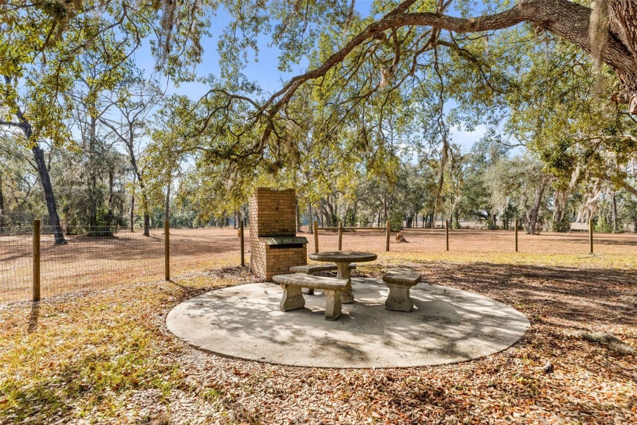 3670 NW 20th Avenue, Bell, FL 32619 Photo