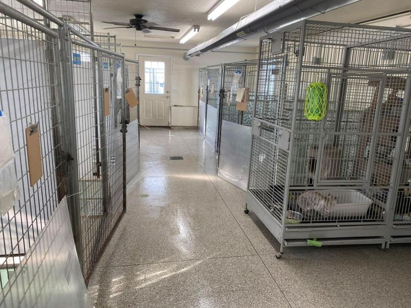 11241 Center Road, Garrettsville, OH 44231 Photo 43